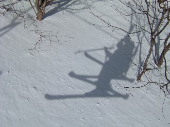いいお天気です!