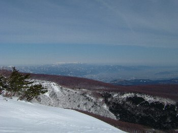 広いです